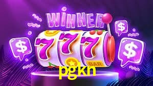 Experiência VIP pgkn