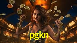 Bonus Features pgkn