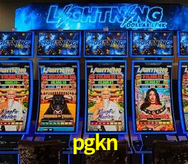 Descubra o Mundo do Cassino Online com pgkn
